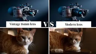 Demo : Je monte une optique 16mm de Bolex sur la Blackmagic Pocket #chats