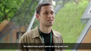 Дом тропических птиц | Реконструкция