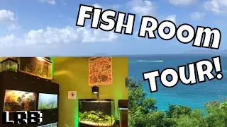 I FOUND a FISH ROOM on an ISLAND - Tropical Fish on a Tropical Island!