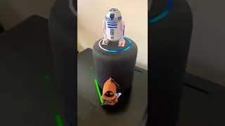 Alexa, What is STAR WARS Day? 💫