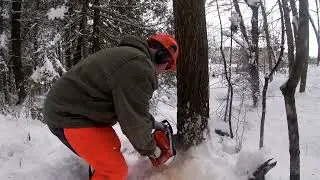 A John Deere Firewood Story.