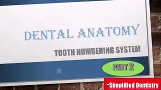 Tooth Numbering System