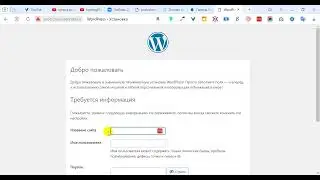 Устанавливаем Wordpress