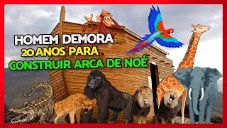 🚢 Réplica Gigantesca da Arca de Noé: O Bilionário e Sua Incrível Jornada de Duas Décadas