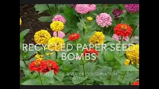 Recycled Paper Seed Bombs