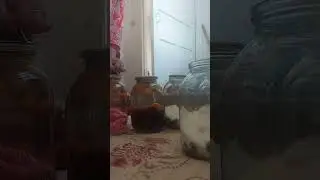 Кампот.  Қыстың қамы