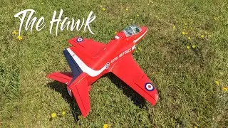 Hawk T1 - "You Don't Scare Me!"