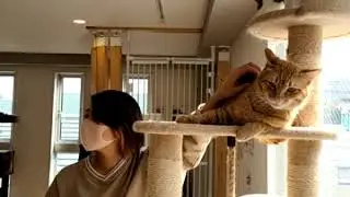 「Galaxy S20 5G」のシングルテイクで撮った動画