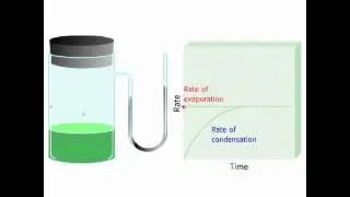 Vapor Pressure