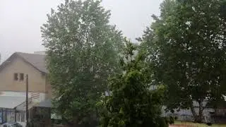 Забавно шоу с песен(2)