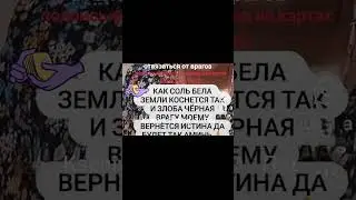 8 августа 2024 г.