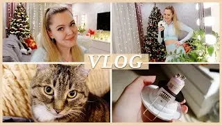 ❄️ ЯНВАРСКИЕ БУДНИ | УМНЫЙ ДОМ | ЯНДЕКС ЛАМПОЧКИ, РОЗЕТКИ