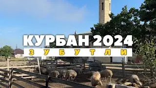 КУРБАН БАЙРАМ 2024 - ЗУБУТЛИ