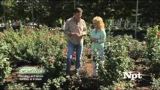 Nashville Music Garden: Volunteer Gardener with Barbara Mandrell