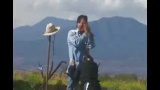 EL DIA DE LOS MUERTOS trailer