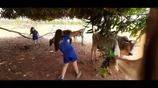 Venha fazer safari no sitio da Sophia e da Lis