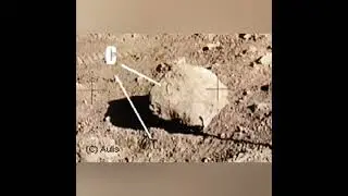 Was The Moon Landing Faked?