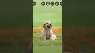 Add Poll Feature in Instagram Story🤩 How To Create A Poll On Instagram Story 