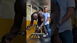 Нереальная скорость на велосипеде 😯