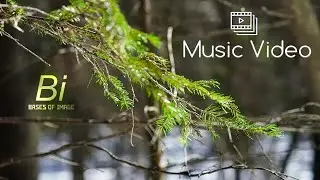 Spring - Summer is coming - Russian Forest - Relaxing Nature Videos and Music