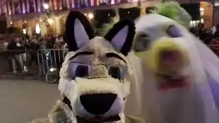 Se me apareció un fantasma furro en el Zócalo 👻 - Spook-Walk (01/11/2023)
