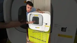 Recebi uma Caixinha de areia AUTOMATICA! 😍🐈 Furbulous Box