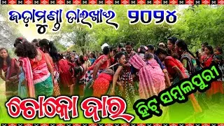 Dalkhai Video🥀Kulfi Rani Sambalpuri // Jadamunda Dalkhai Video🥀ହିଟ୍ ସମ୍ବଲପୁରୀ #dalkhai #ksmofficial