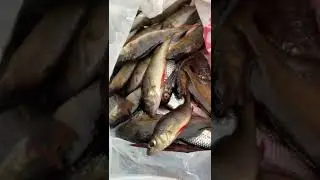 сьездили на рыбалочку