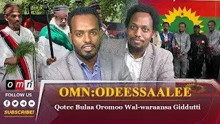 OMN Horn Odeessaalee Fulbaana 7, 2024