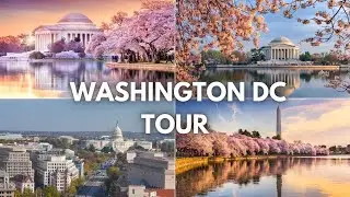 Washington DC Travel Guide 2025 4K