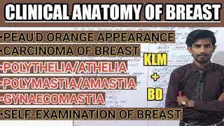 Clinical Anatomy of Breast from BD+KLM | Carcinoma of Breast Part 5/5
