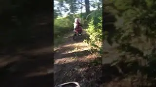 Star on the kids loop
