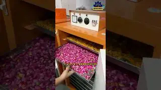 Vegetables Dryer 2025 Model | Fruit Flowers And Food Dehydrator Machine | 