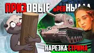 Нарезка стрима | Медоедовое соБРЕВНОвание #2 vs Alina Reiner