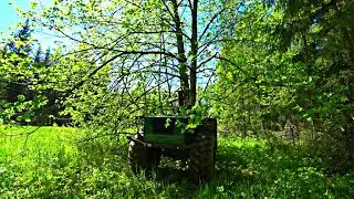 В июне месяце на пчёл охочусь. Ловушки расставлял, дрова заготовлял.