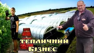 Тепличний Бізнес в Україні! З чого почати і як зекономити на Теплицях?
