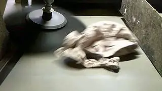 sweaters versus a vacuum 18