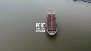 Container-Schiff wird mit Baumstämmen verladen | Nordenham | Mavic 2 Pro