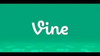 VINES my cats like tango!!!