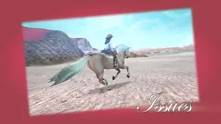 shit.mp4