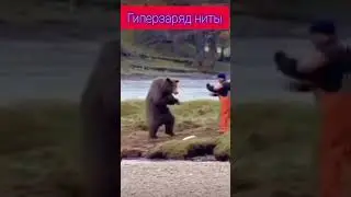 кунг фунг медведь😵🥵🥵🥵