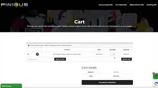 How to buy PINIGUS tokens on OTC without registration?