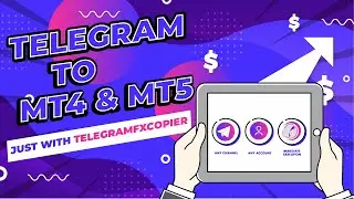 🤩🤩 The BEST Forex Trading Copier to mt4 /mt5