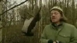 Mankeli - Skiigge Böy (7 sketsiä)