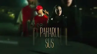 Nicole Cherry x Puya - Paharul sus (DJ Andrey Remix)