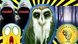 RANDONAUTICA IS SCARY - WE ARE BEING WATCHED (RANDONAUTICA GONE WRONG)