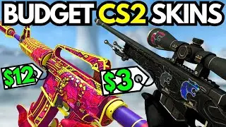 BEST Budget CS2 Skins in 2024 (CHEAP CS2 Skins Under $20)