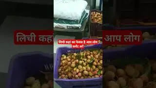 lichi song #song #bhojpuri