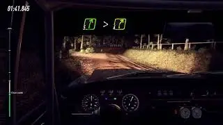 Dirt Rally 2.0 | Monaro, Austrailia | Stage (4/4) (Cockpit View) Blind Night Rally, No Lights