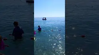 Морская звезда ✴️✴️✴️